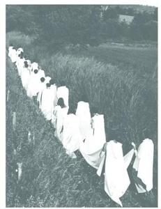 CD Shop - ELIANE RADIGUE OPUS 17