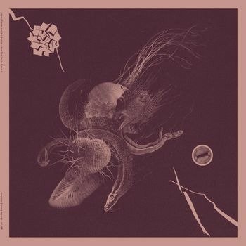 CD Shop - AARON & JON MUELLER TURNER NOW THAT YOU\
