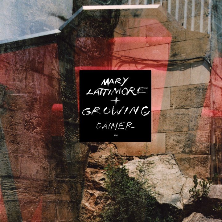 CD Shop - MARY & GROWING LATTIMORE GAINER