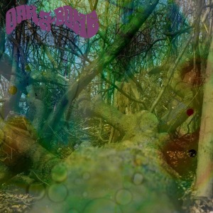 CD Shop - OAK & BONE OAK & BONE