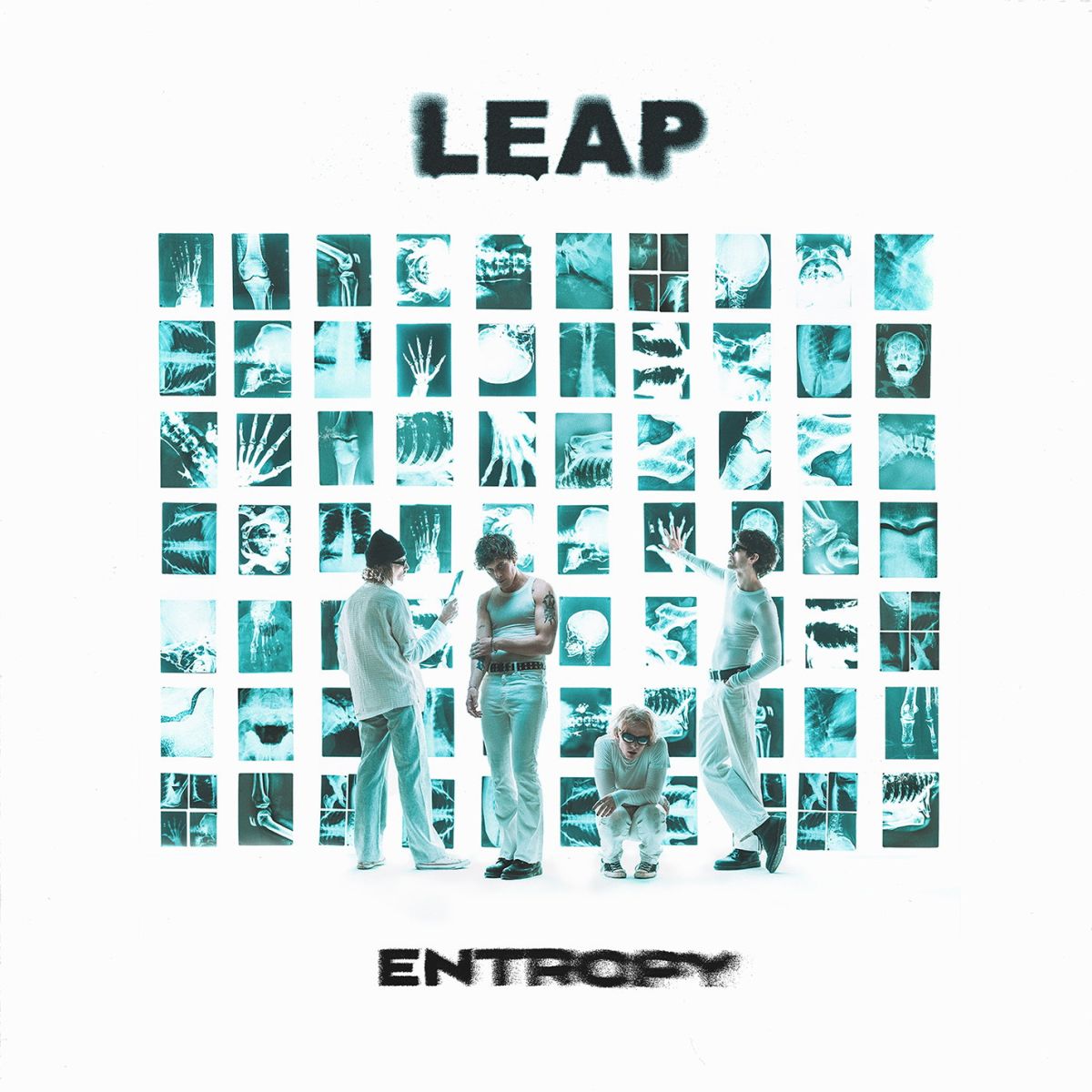 CD Shop - LEAP ENTROPY