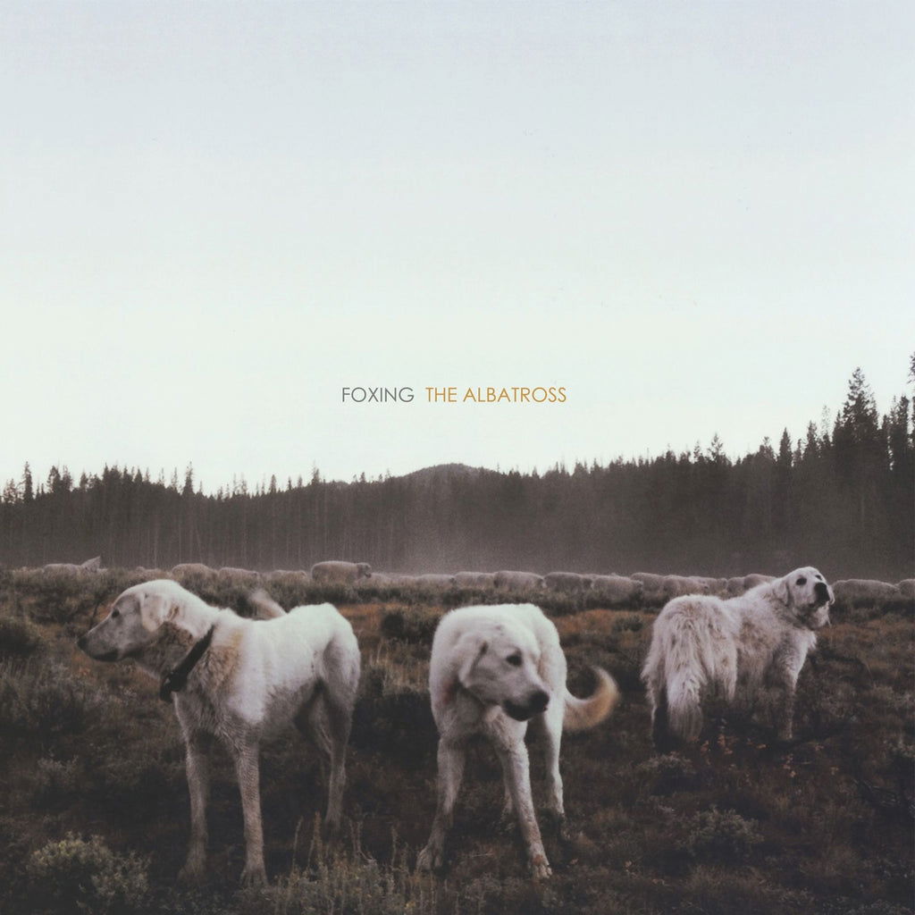 CD Shop - FOXING ALBATROSS