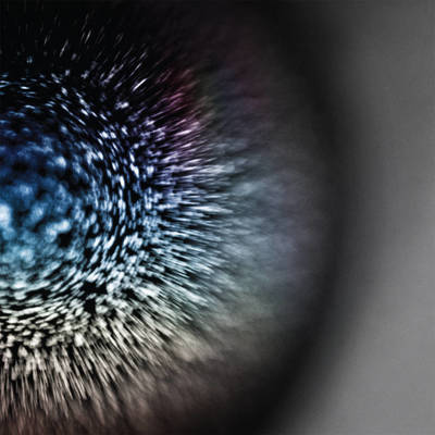 CD Shop - EMPTYSET BLOSSOMS