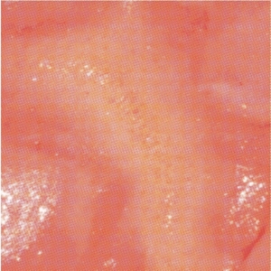 CD Shop - KLAMP HATE YOU