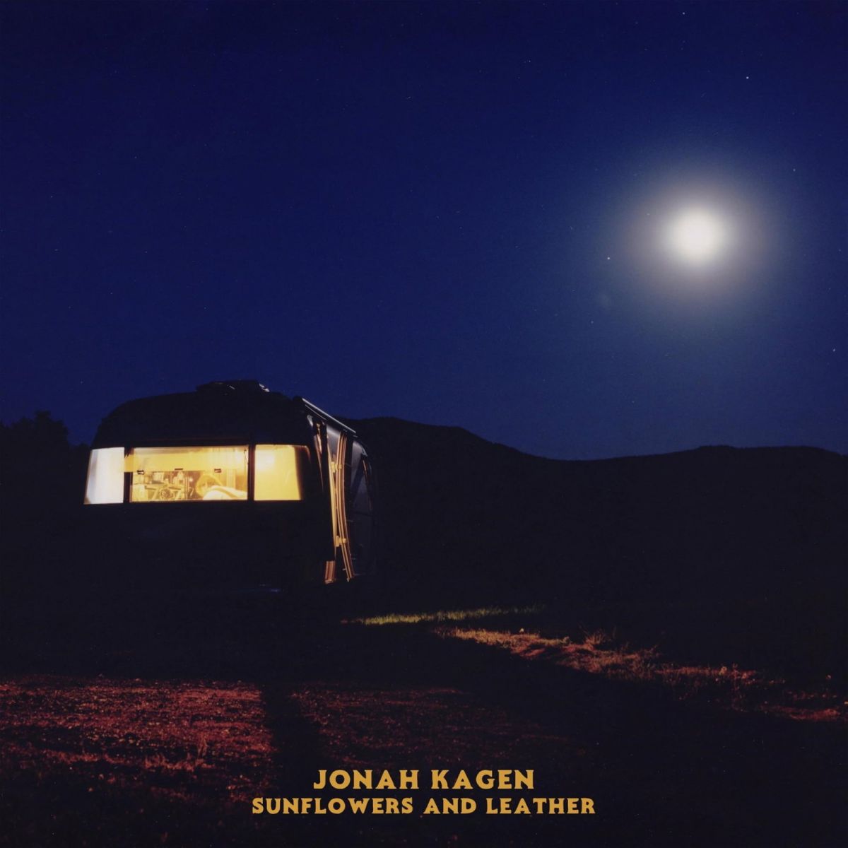 CD Shop - JONAH KAGEN SUNFLOWERS AND LEATHER