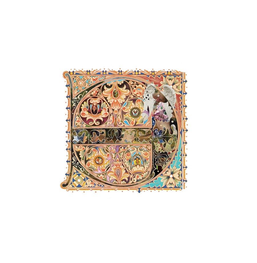 CD Shop - VISIO PRIVACY ANGELS