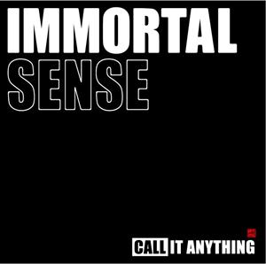 CD Shop - IMMORTAL SENSE CALL IT ANYTHING