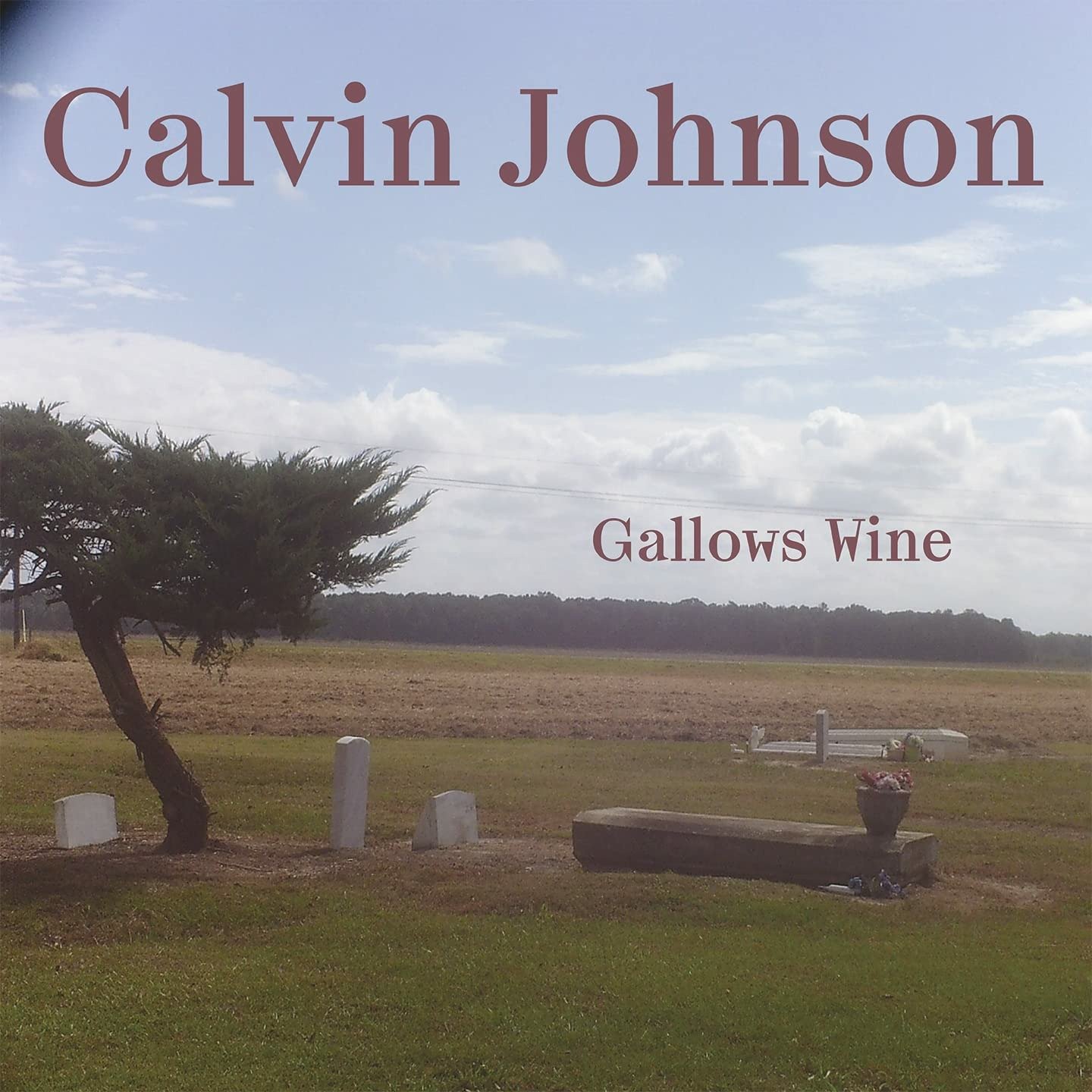 CD Shop - CALVIN JOHNSON GALLOWS WINE