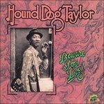 CD Shop - HOUND DOG TAYLOR BEWARE OF THE DOG