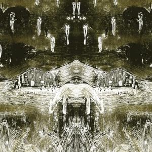 CD Shop - NICK WHEELDON TADPOLES