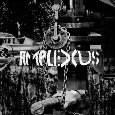 CD Shop - AMPLEXUS MELTING AWAY