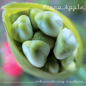 CD Shop - FIONA APPLE EXTRAORDINARY MACHINE