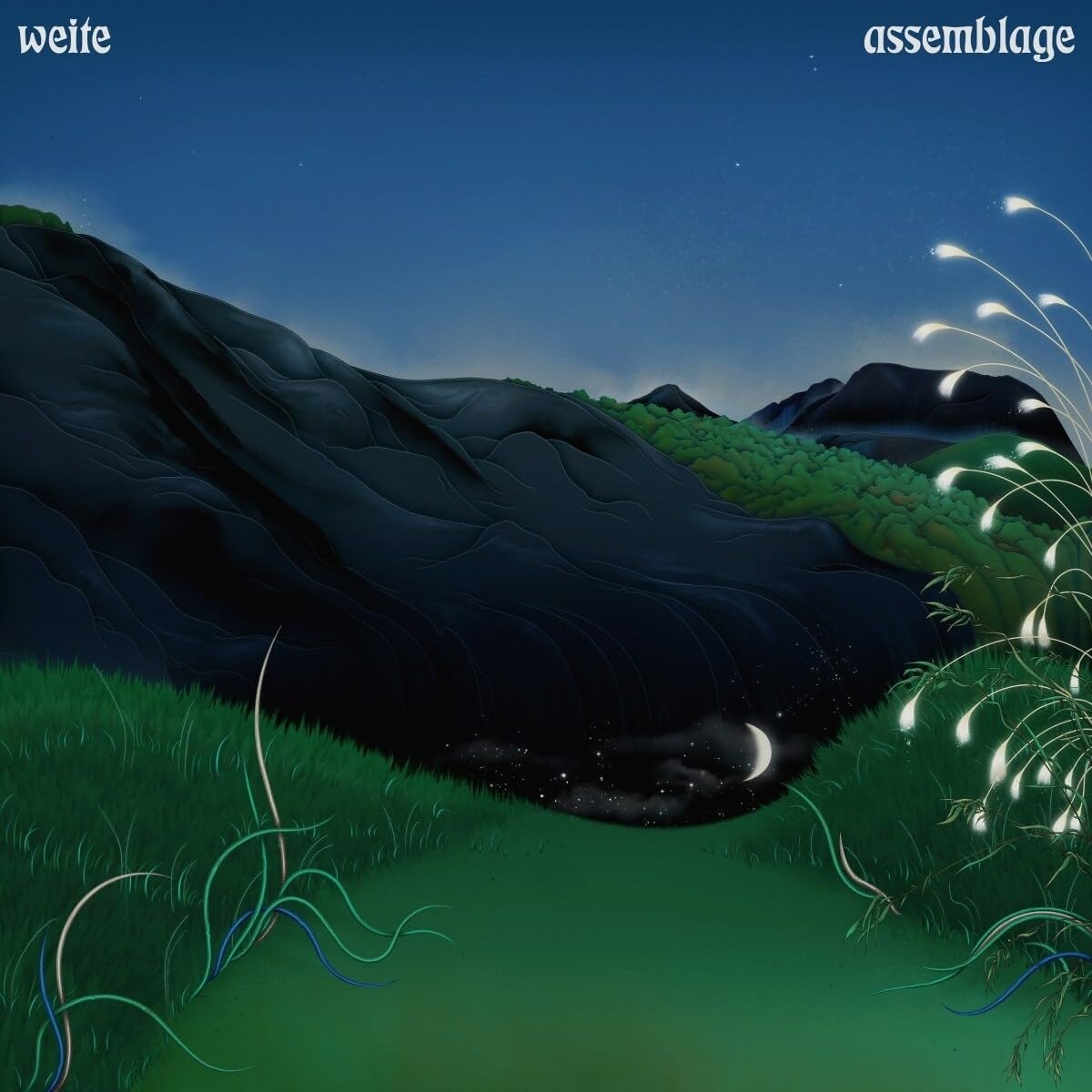 CD Shop - WEITE ASSEMBLAGE