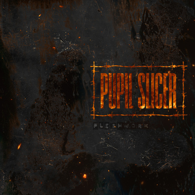CD Shop - PUPIL SLICER FLESHWORK