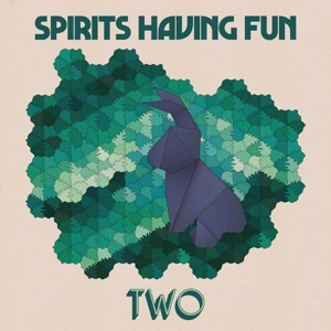 CD Shop - SPIRITS HAVING FUN TWO