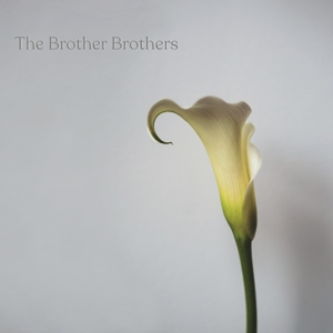 CD Shop - BROTHER BROTHERS CALLA LILY