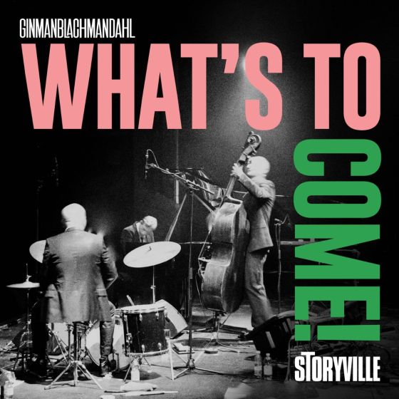 CD Shop - GINMANBLACHMANDAHL WHAT\