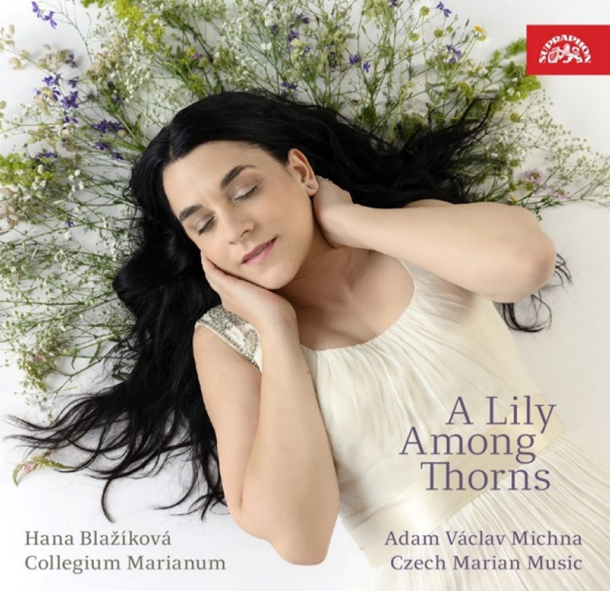 CD Shop - HANA BLAZIKOVA ALBRICI, BIBER,..