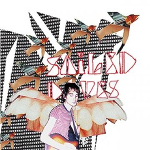 CD Shop - SOILED DOVES SOILED LIFE