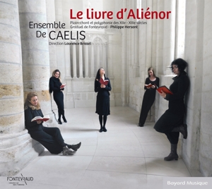 CD Shop - ENSEMBLE DE CAELIS LE LIVRE D\