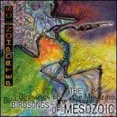 CD Shop - BIRDSONGS OF THE MESOZOIC PETROPHONICS