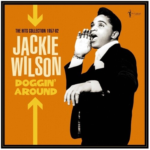 CD Shop - JACKIE WILSON DOGGIN\