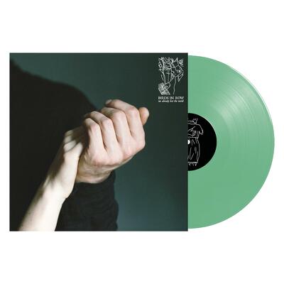 CD Shop - BIRDS IN ROW WE ALREADY LOST THE WORLD