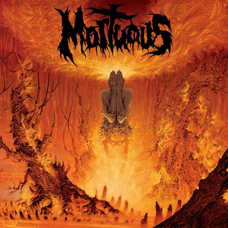 CD Shop - MORTUOUS UPON DESOLATION