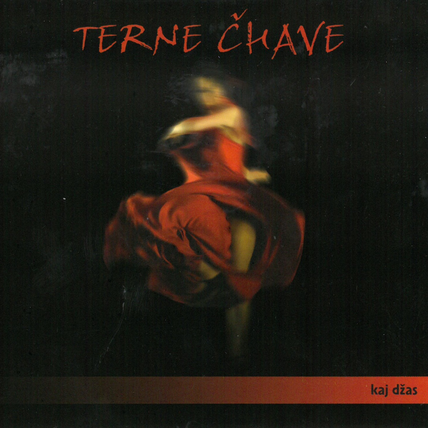 CD Shop - TERNE CHAVE 