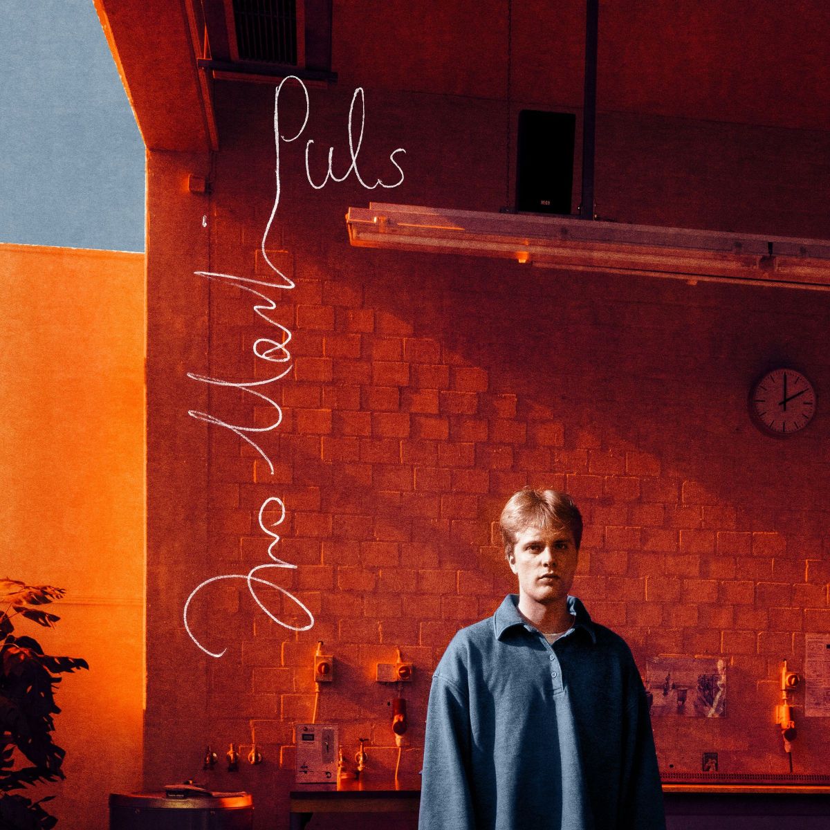 CD Shop - IVO MARTIN PULS