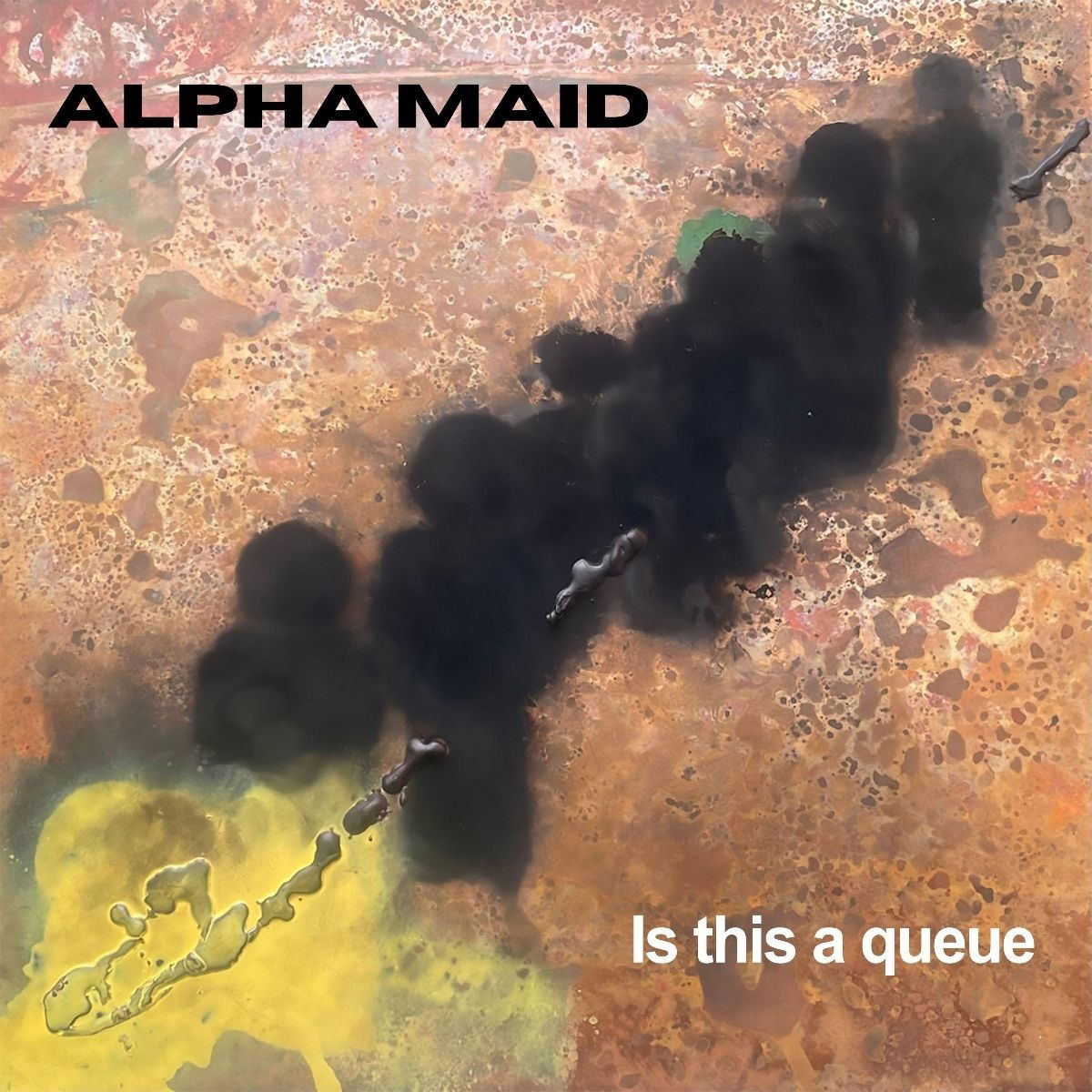 CD Shop - ALPHA MAID IS THIS A QUEUE