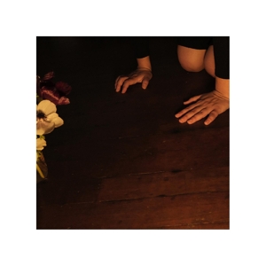 CD Shop - SALLY DECKER IN THE TENDER DREAM