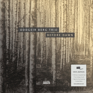 CD Shop - ODDGEIR BERG TRIO BEFORE DAWN