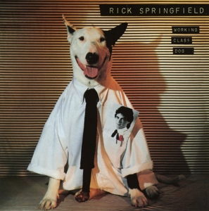 CD Shop - SPRINGFIELD, RICK WORKING CLASS DOG