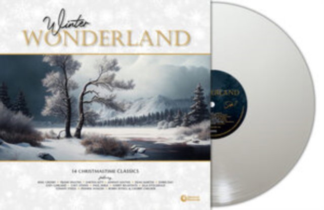 CD Shop - VARIOUS ARTISTS WINTER WONDERLAND (14 ...
