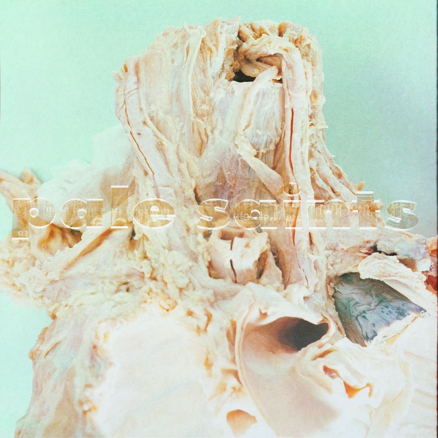 CD Shop - PALE SAINTS IN RIBBONS