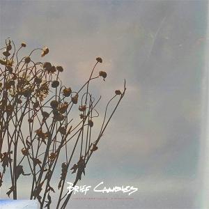 CD Shop - BRIEF CANDLES UNFINISHED NATURE