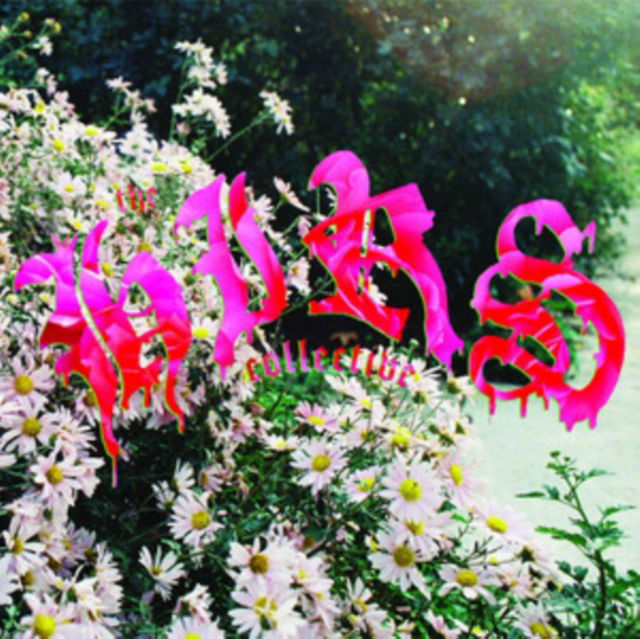CD Shop - THE HIRS COLLECTIVE WE\