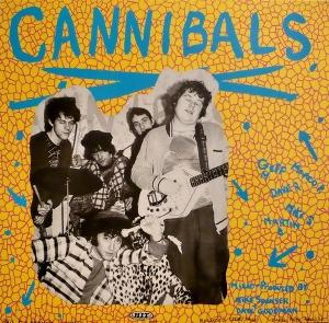 CD Shop - CANNIBALS,THE SURFADELICS RUN, CHICKEN, RUN VOL. 1