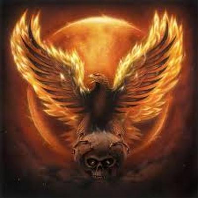 CD Shop - DARKOLOGY FATED TO BURN