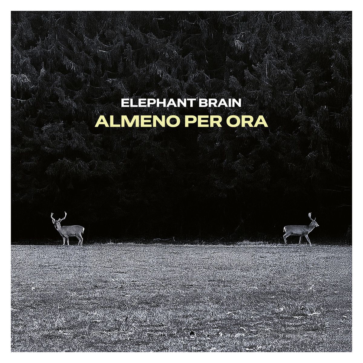 CD Shop - ELEPHANT BRAIN ALMENO PER ORA