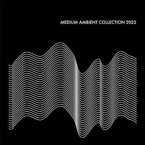 CD Shop - VARIOUS ARTISTS MEDIUM AMBIENT COLLECT...