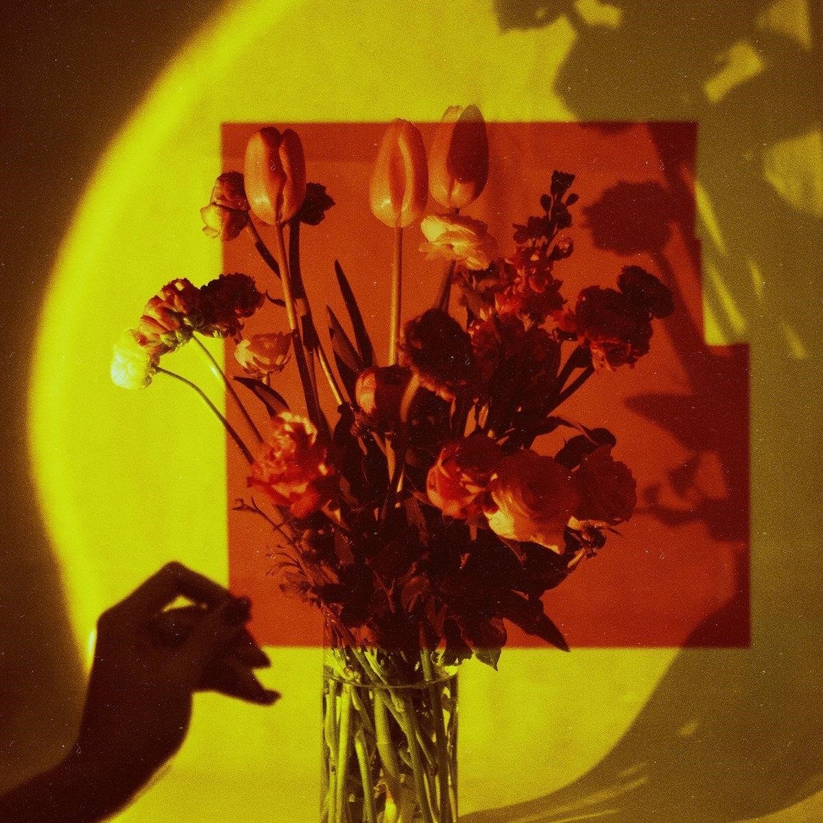 CD Shop - SELFISHADOWS EVERYTHING CHANGES
