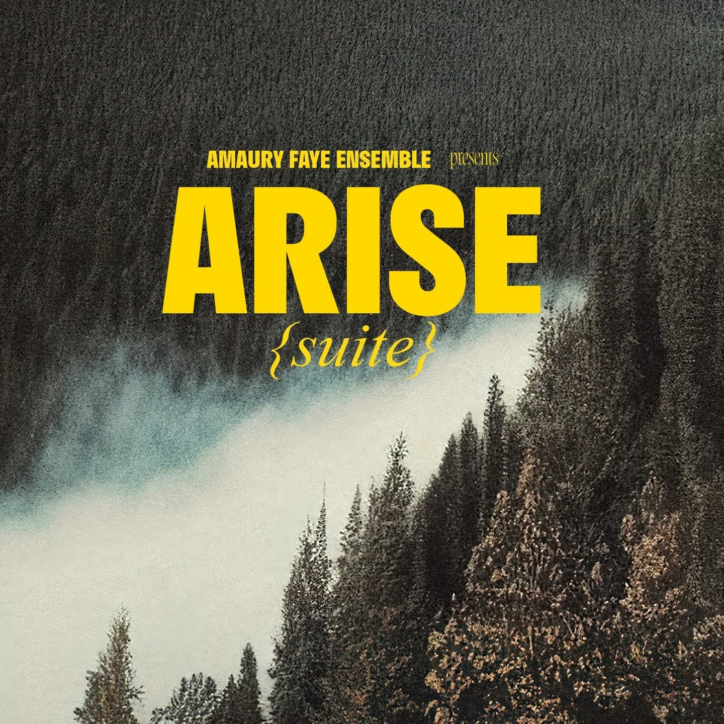 CD Shop - AMAURY -ENSEMBLE- FAYE ARISE (SUITE)