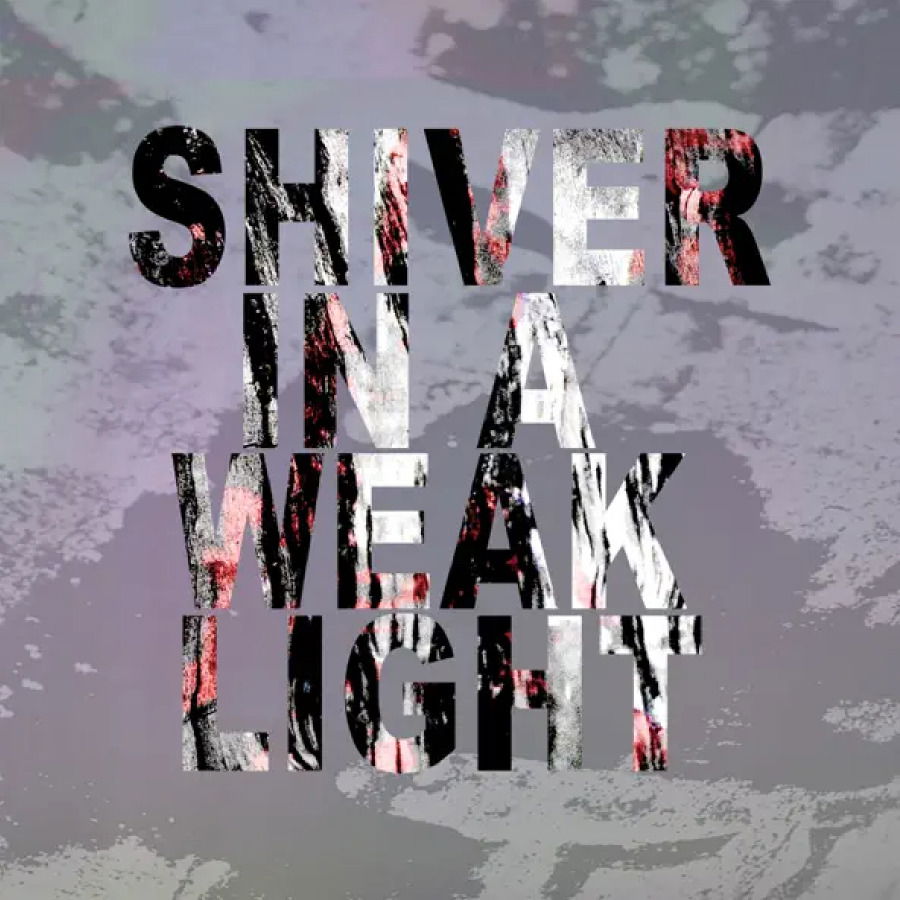 CD Shop - DISINTEGRATION SHIVER IN A WEAK LIGHT