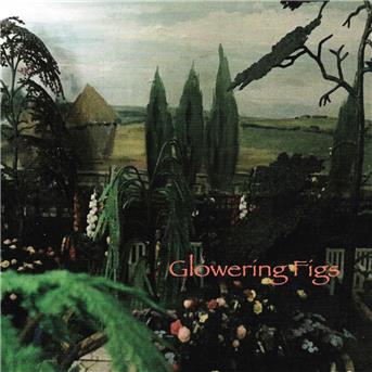CD Shop - GLOWERING FIGS GLOWERING FIGS
