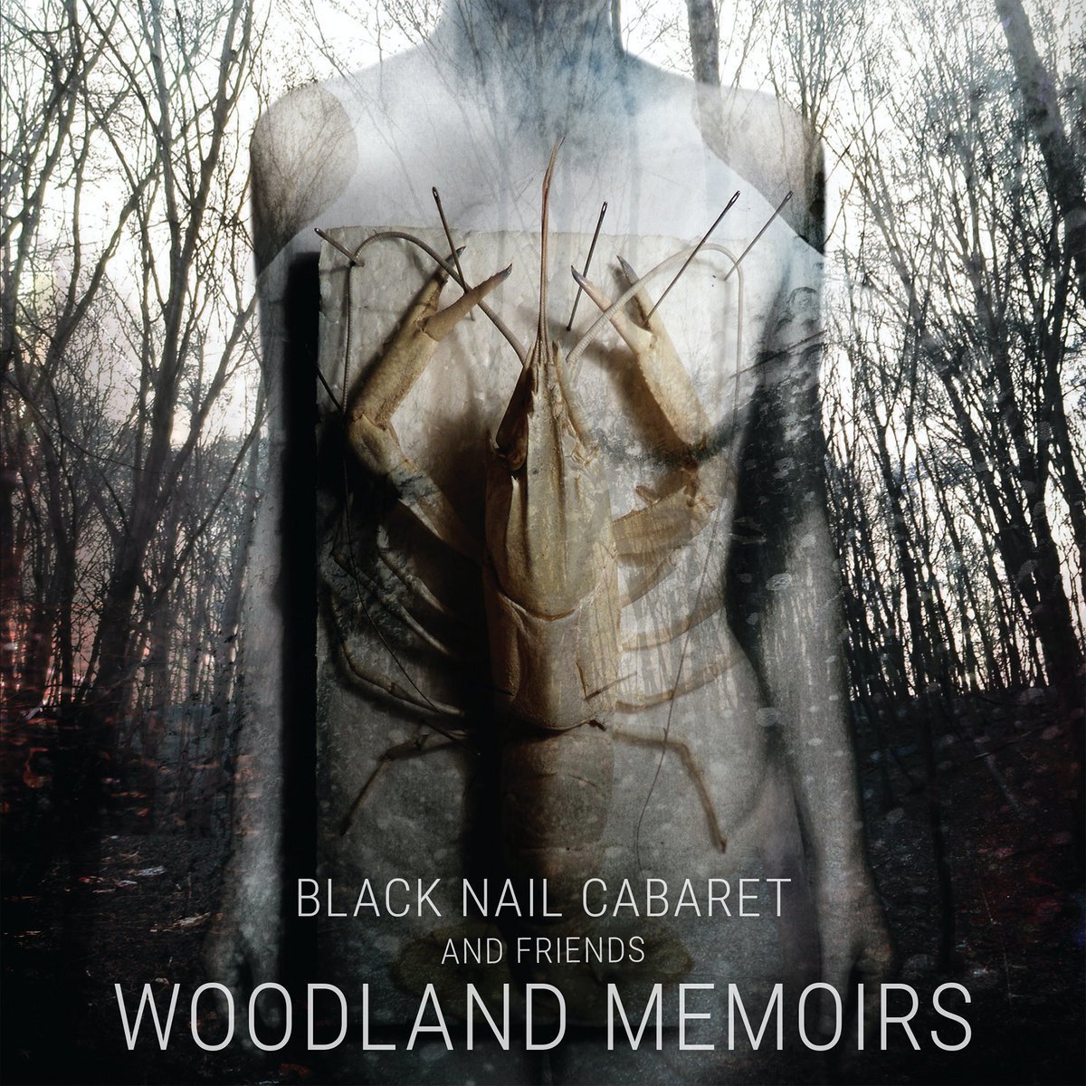 CD Shop - BLACK NAIL CABARET AND FRIENDS WOODLAND MEMOIRS