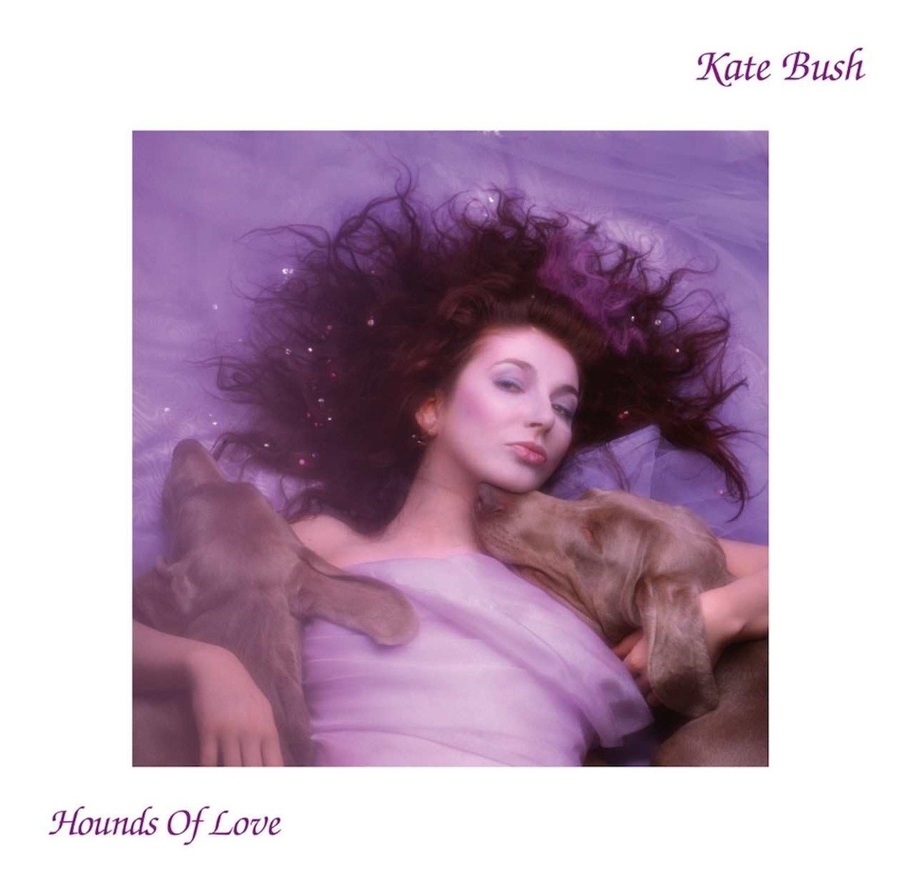 CD Shop - KATE BUSH HOUNDS OF LOVE