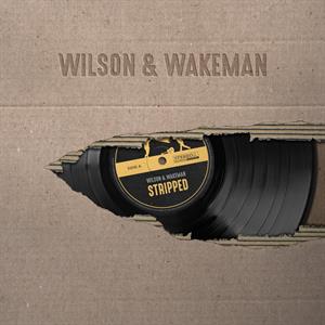 CD Shop - DAMIAN WILSON STRIPPED