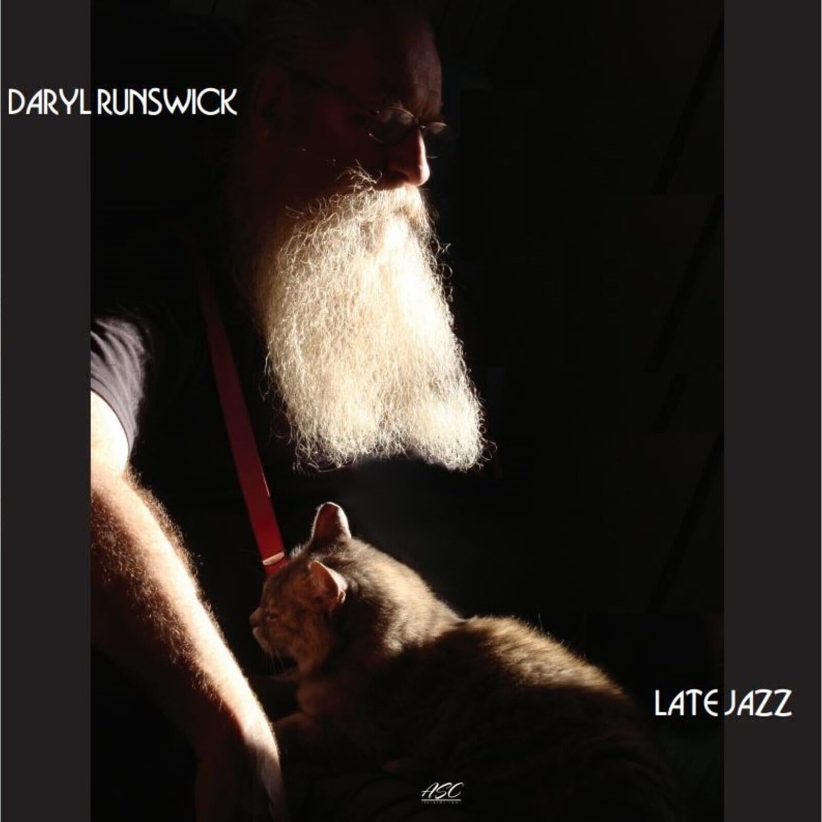 CD Shop - DARYL RUNSWICK LATE JAZZ